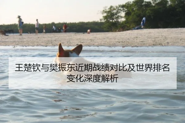 王楚钦与樊振东近期战绩对比及世界排名变化深度解析